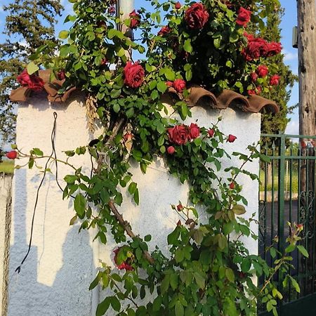 Villa Πετρινη Κατοικια Στην Φυση Tagarades Exterior foto